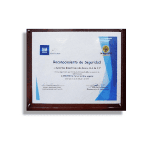 05_GM_Seguridad